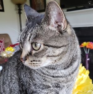 Meet your Posher, Kim